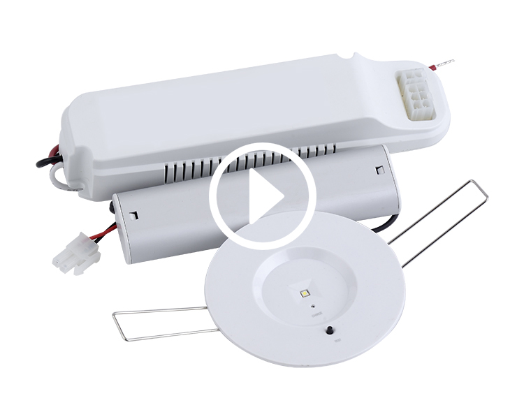 D40-R-1 noodlamp Downlight
