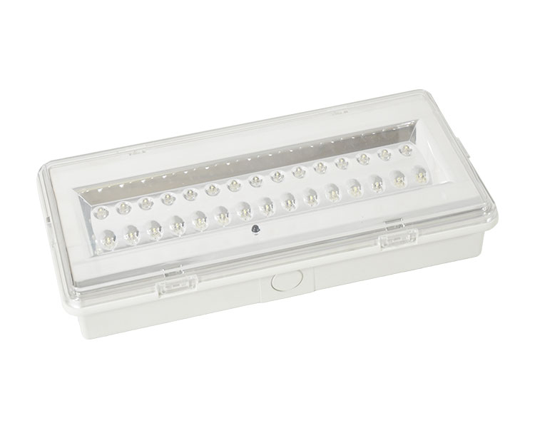 LE503L niet-onderhouden LED waterdichte noodlamp
