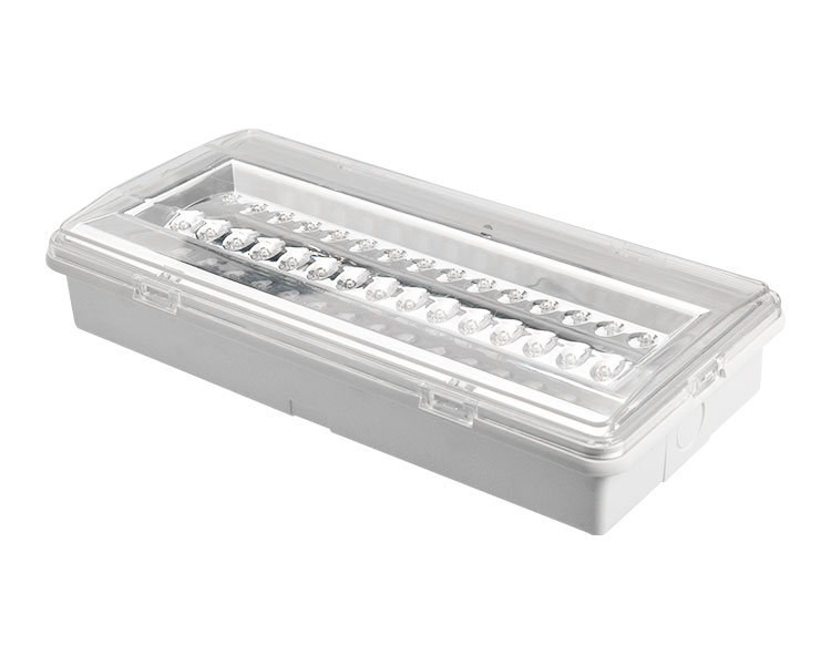 LE503L niet-onderhouden LED waterdichte noodlamp