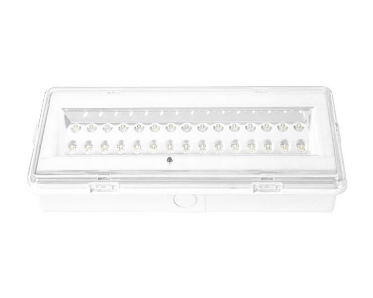 LE503L niet-onderhouden LED waterdichte noodlamp